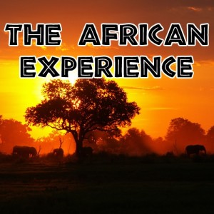 The African Experience Title 500x500 300x300